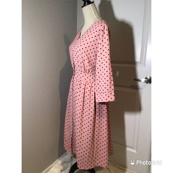 Pink Polka Dot Button-Up Fit & Flare Dress - NWOT - Picture 4 of 9